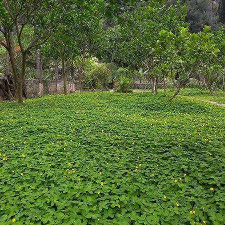 Yen Binh Homestay ニンビン エクステリア 写真