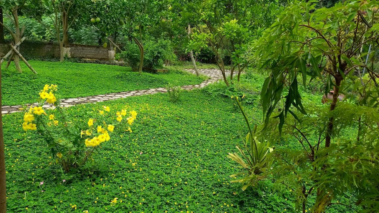 Yen Binh Homestay ニンビン エクステリア 写真