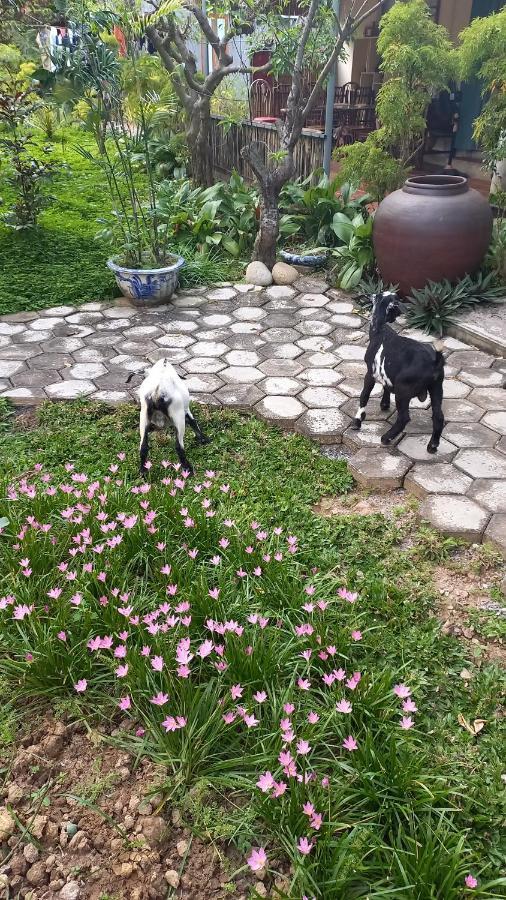 Yen Binh Homestay ニンビン エクステリア 写真
