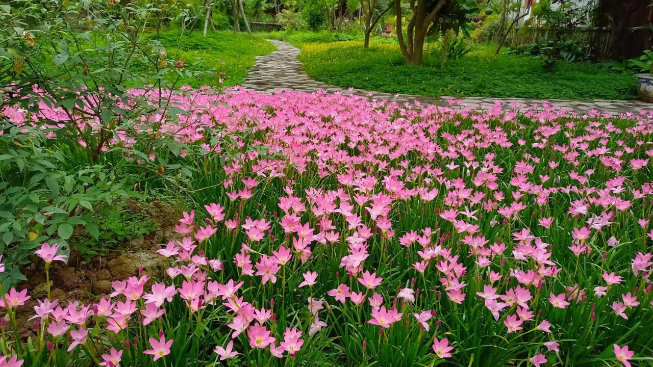 Yen Binh Homestay ニンビン エクステリア 写真